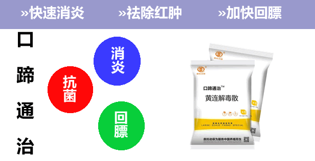 豬口蹄疫權(quán)威治療方案